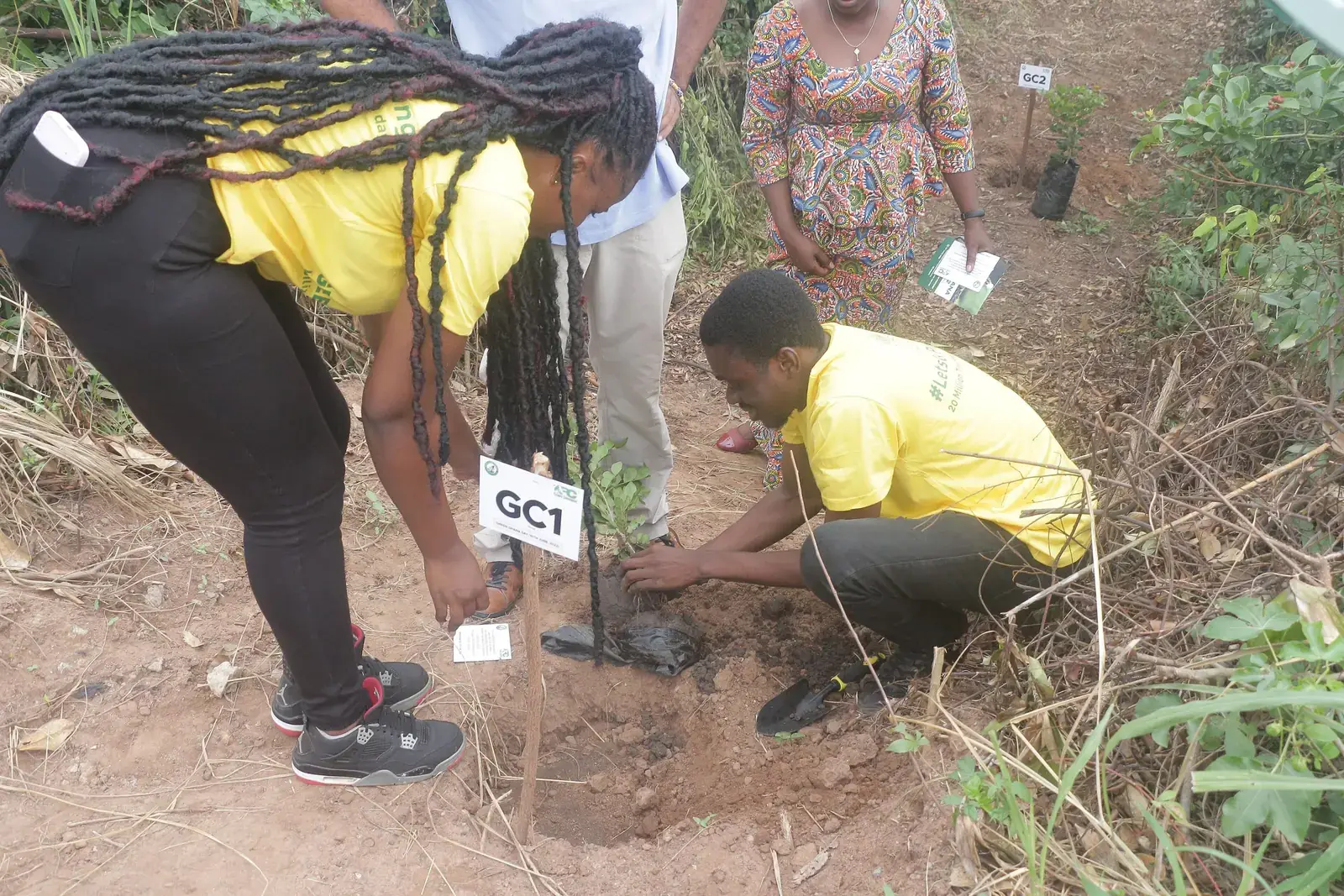 Young volunteers planting trees at a school